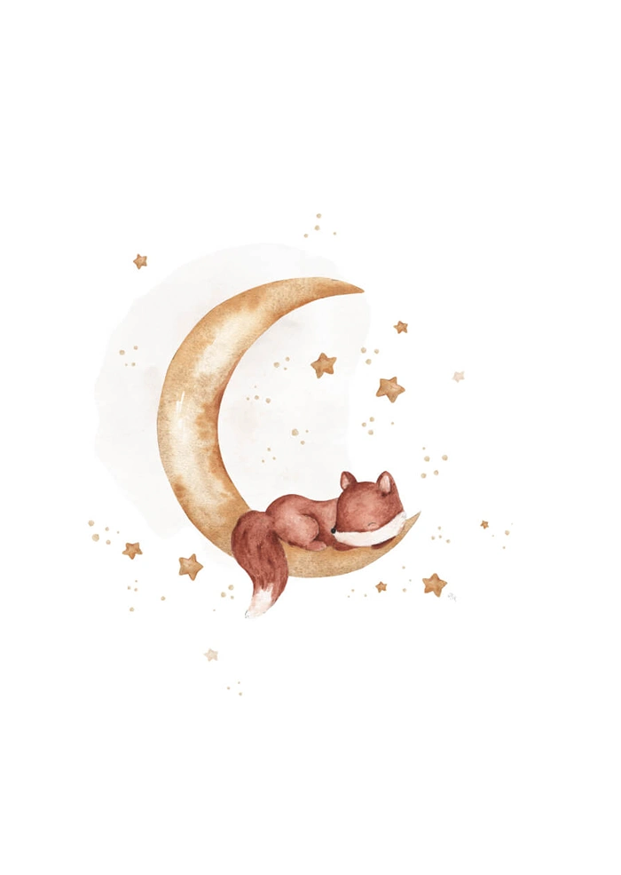 Sleeping fox
