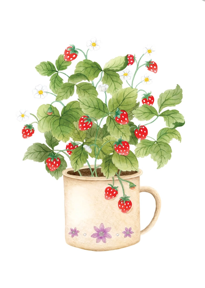 Erdbeeren