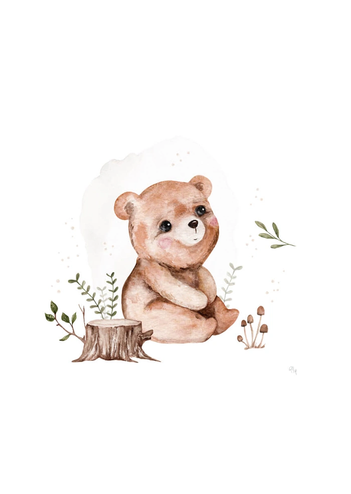 Forest bear