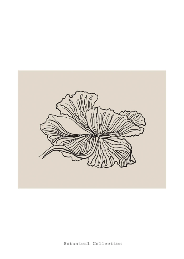 Botanical