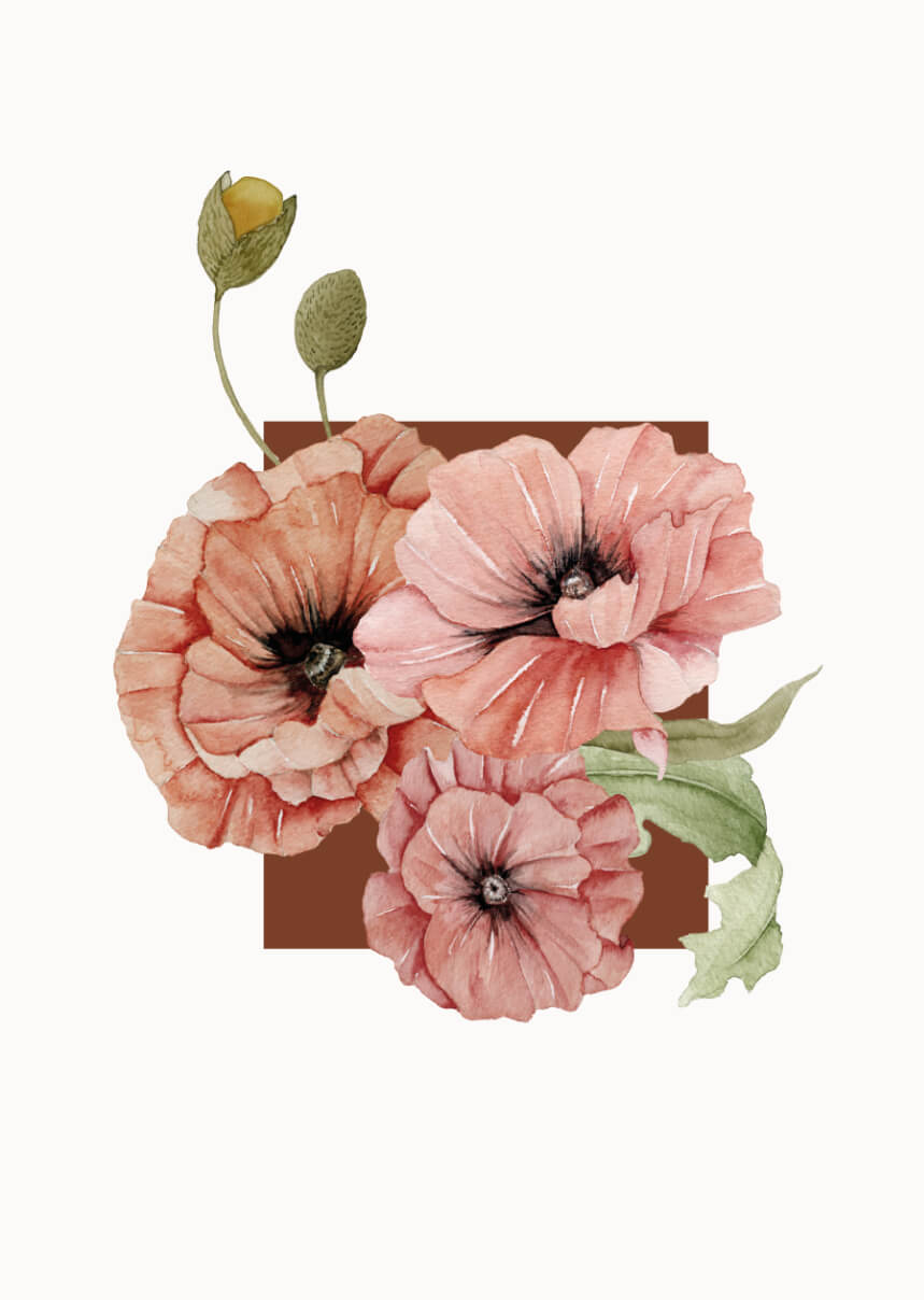 Mohnblumen