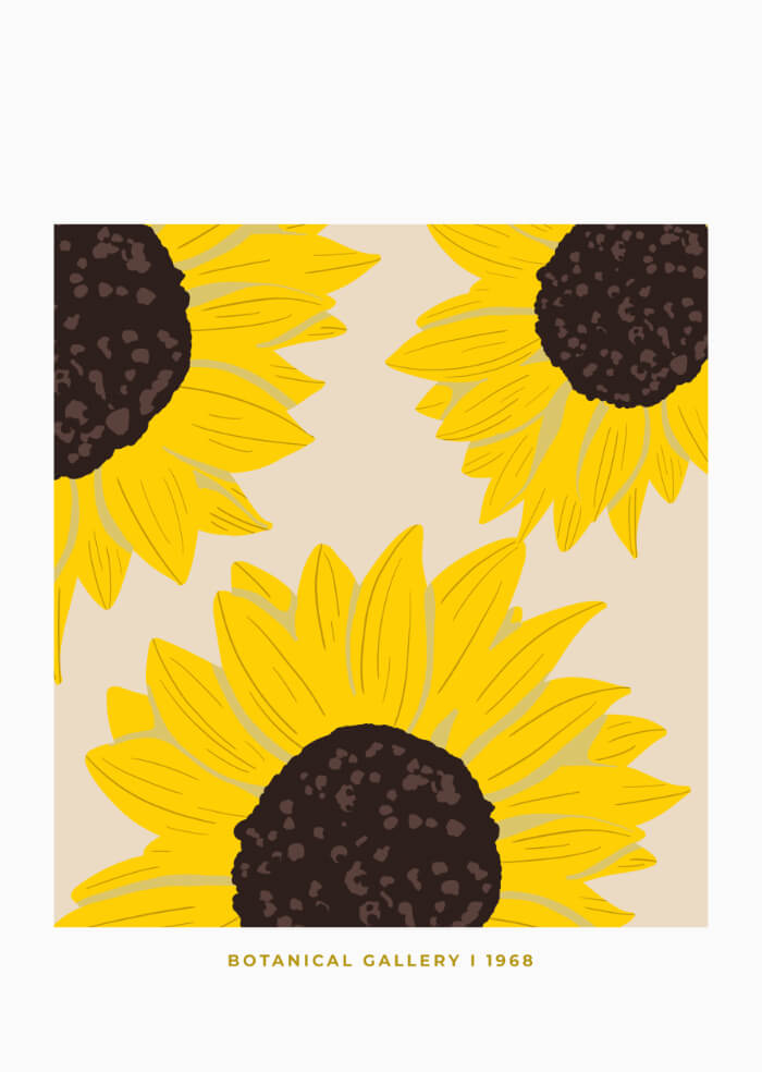 Sonnenblume