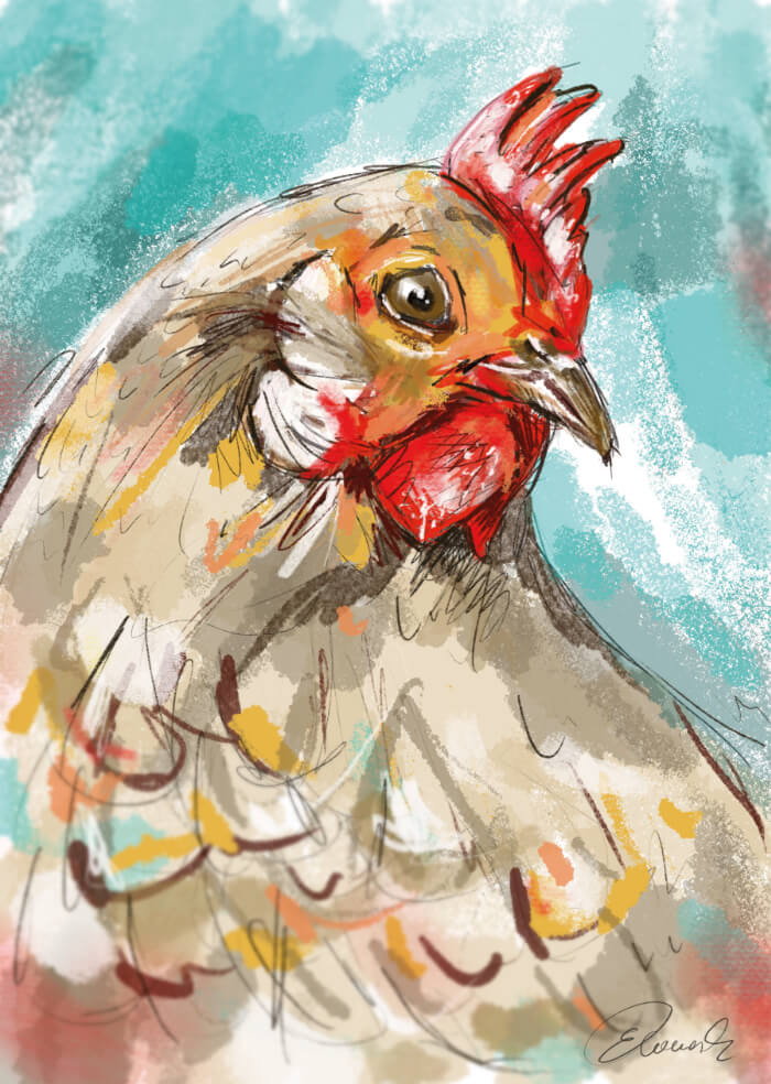 Hen