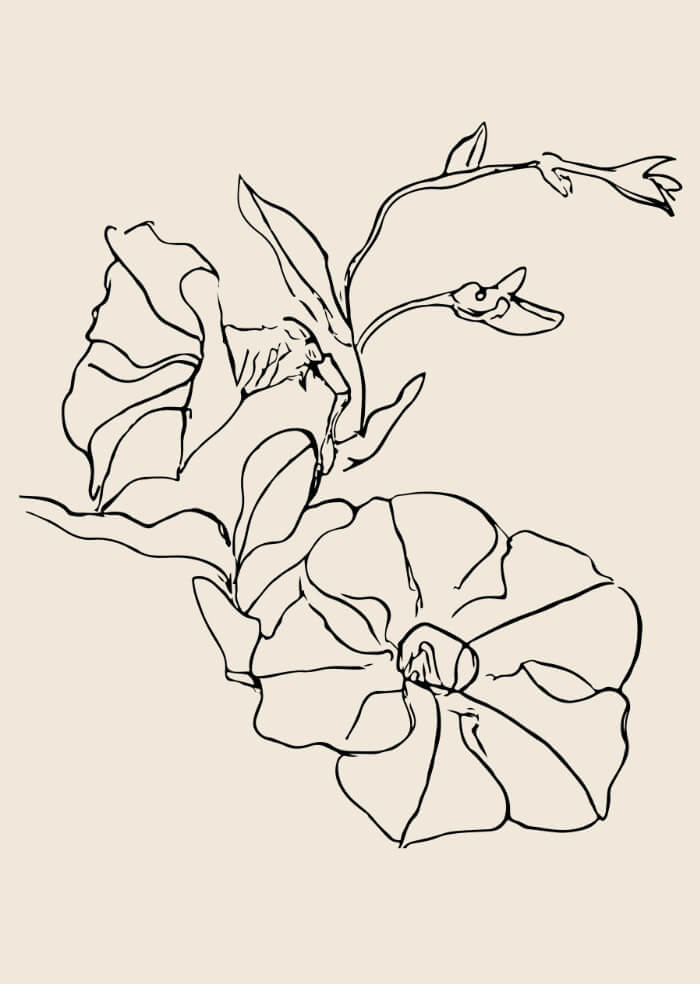 Botanical