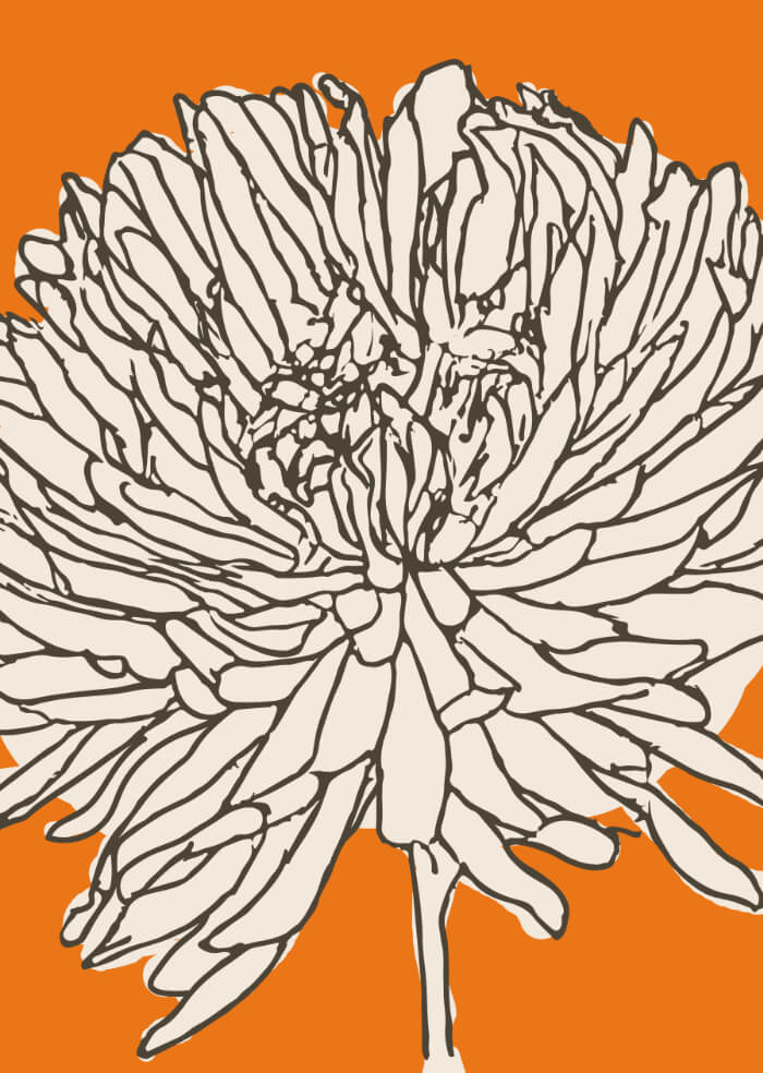 Dalia