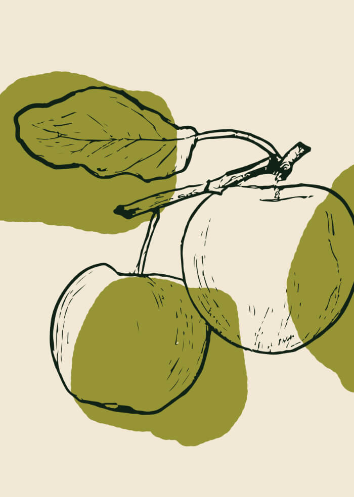 Äpfel