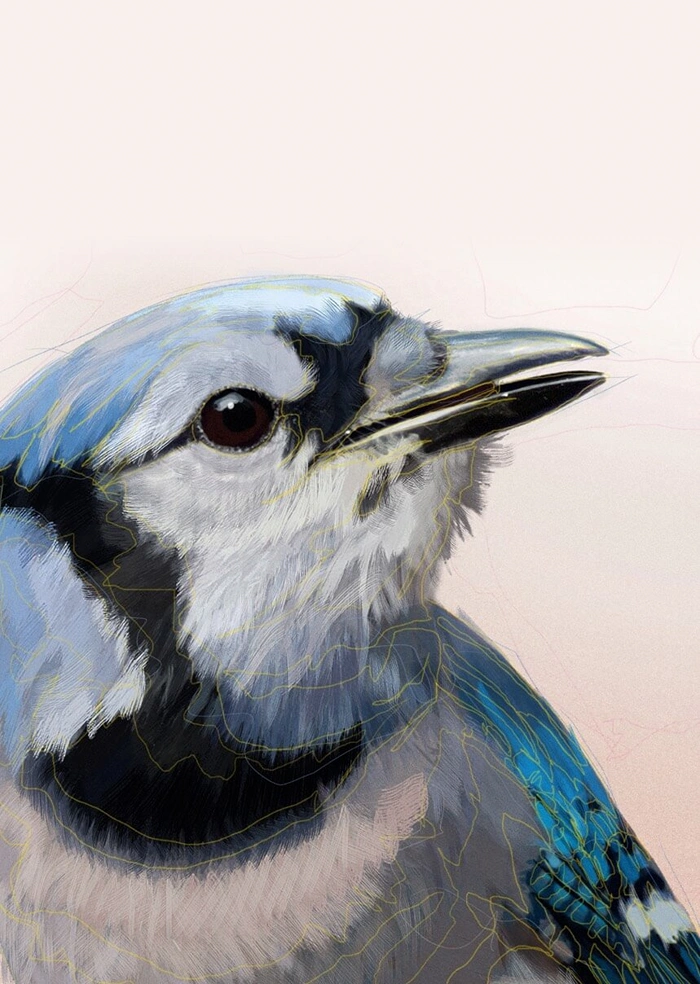 Bird