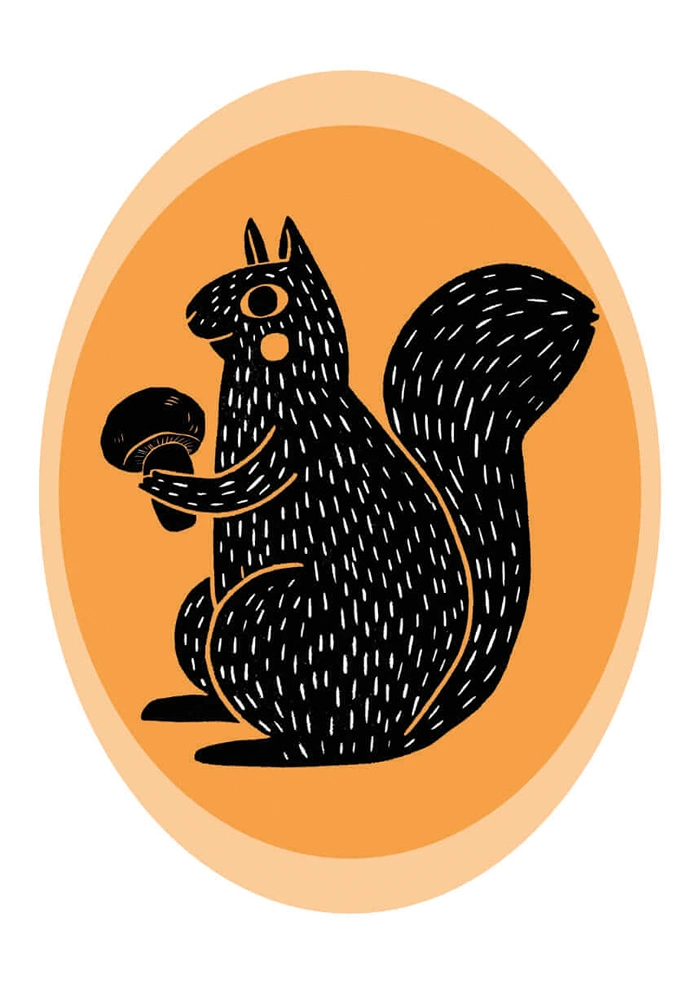 Squirrel