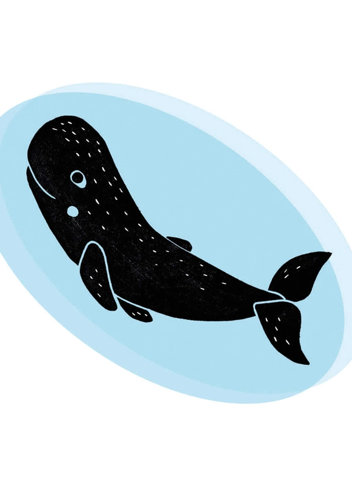 Whale