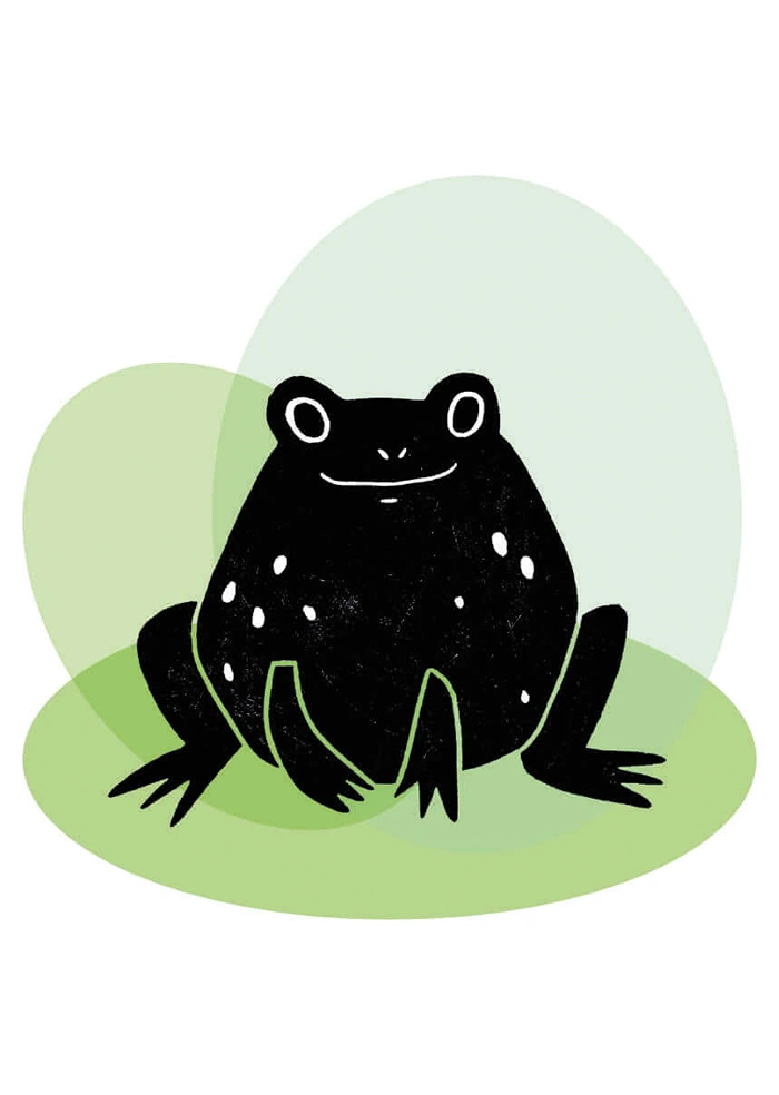 Frog