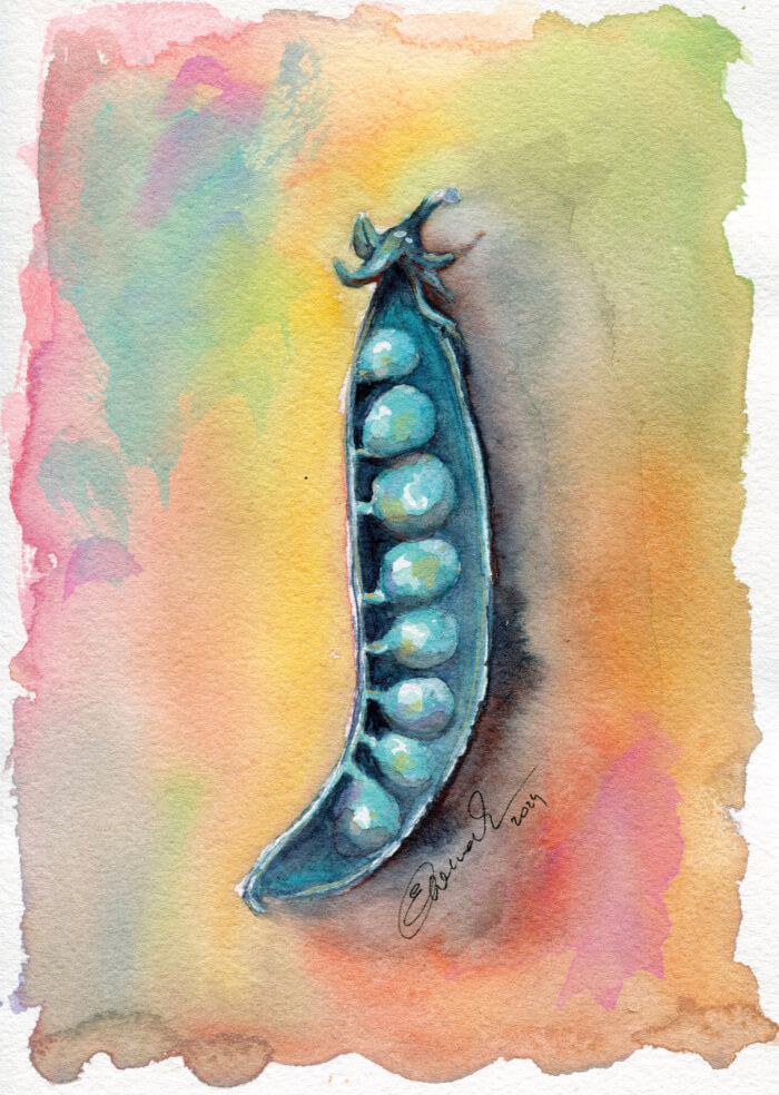 Erbsen
