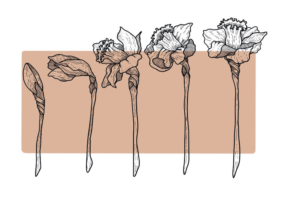 Blumen