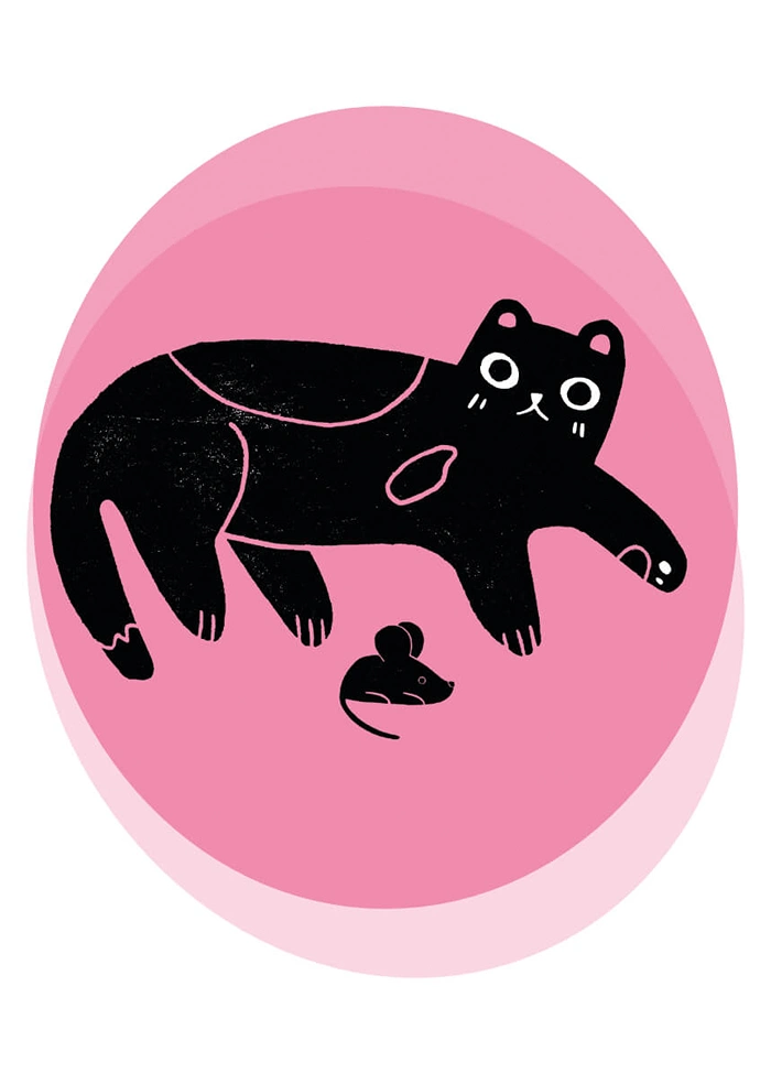 Cat and mouse