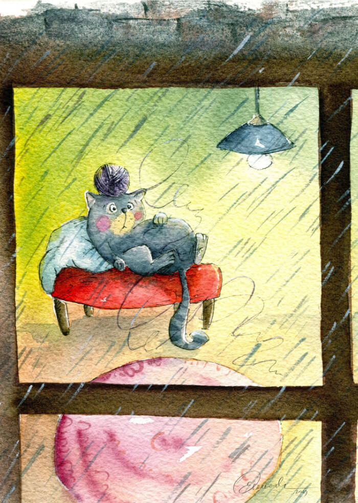 Katze