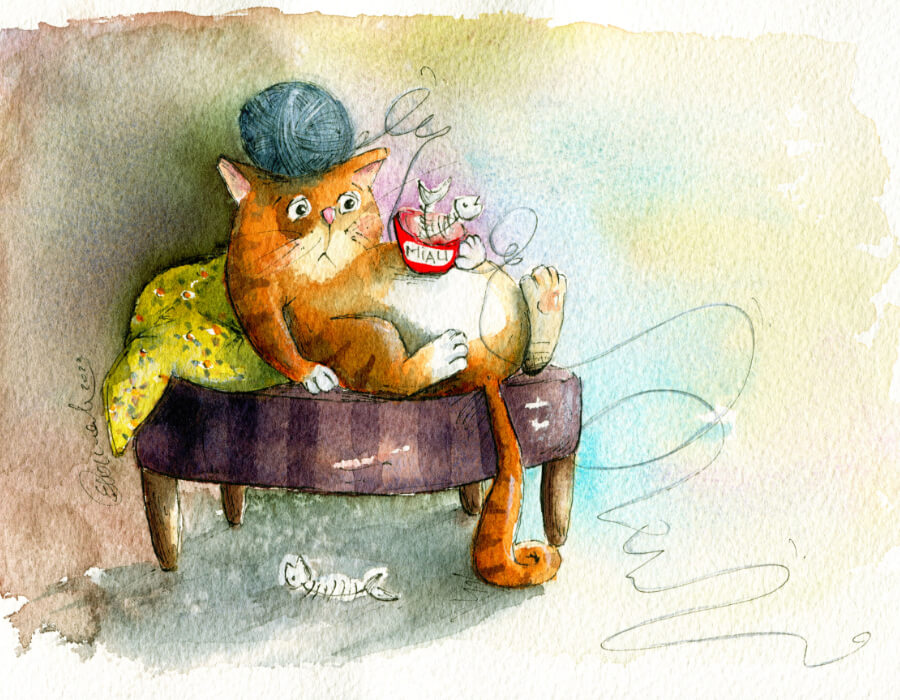 Katze