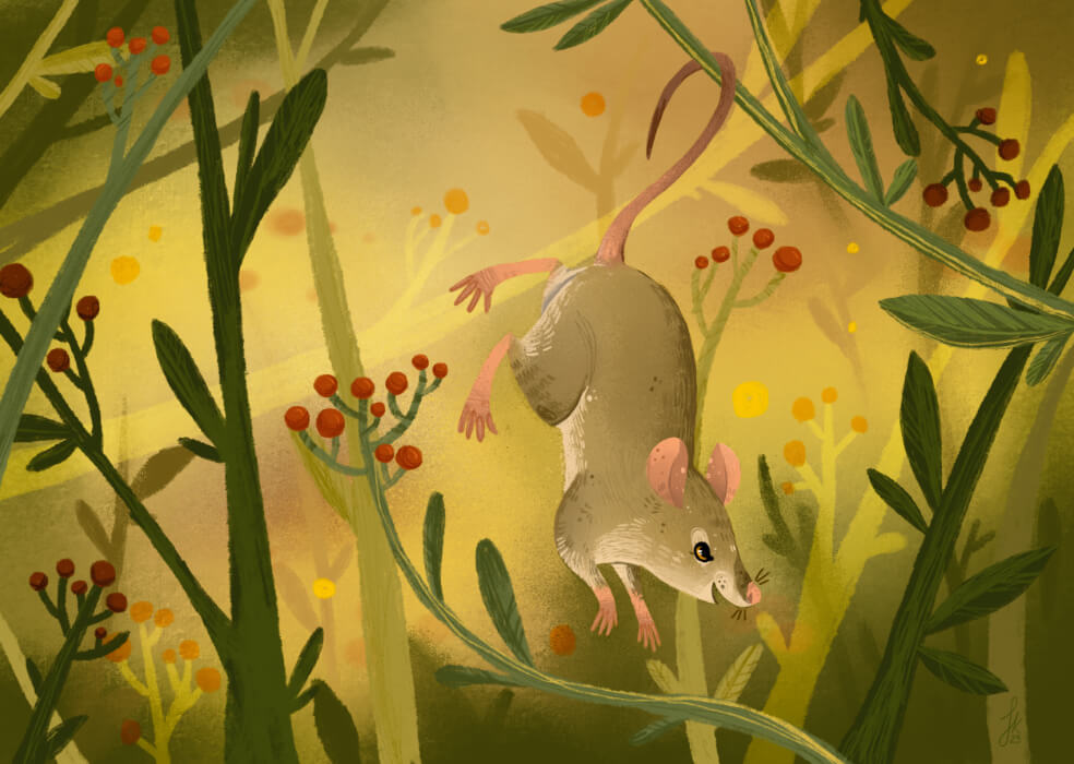 Liitle mouse
