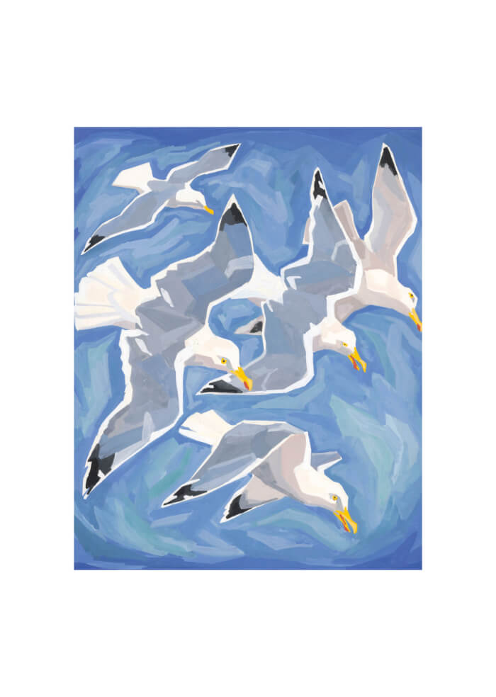 Seagulls