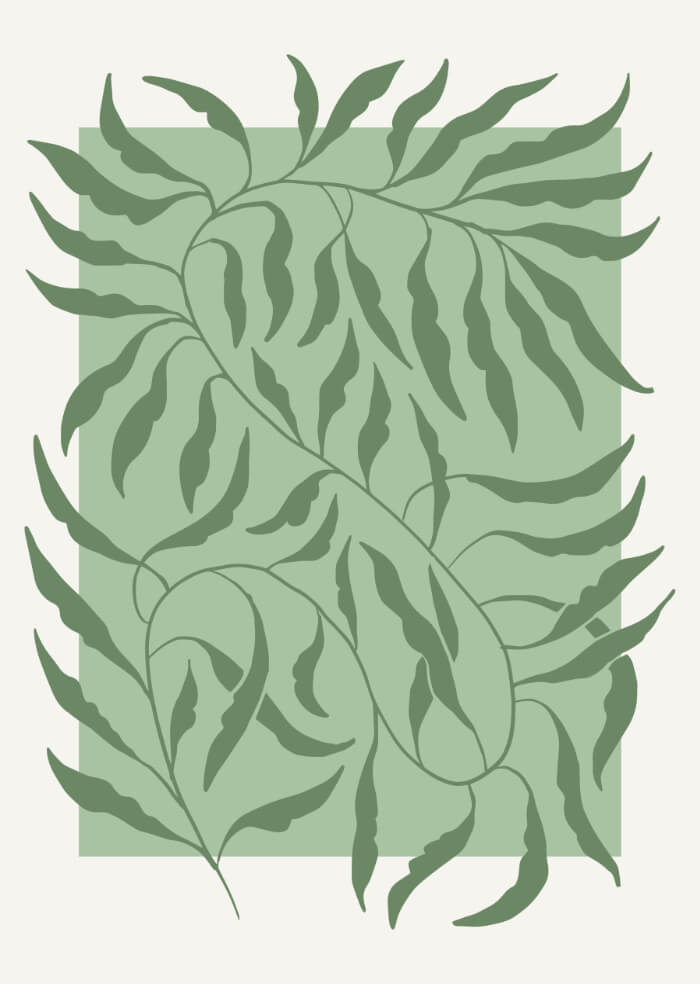 Botanical