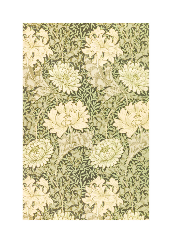 Chrysanthemums