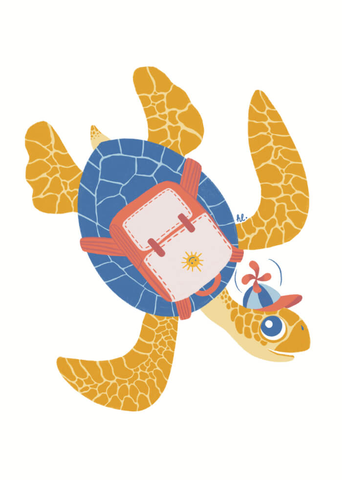 Traveler turtle