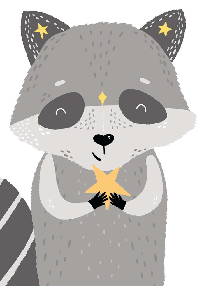 Raccoon