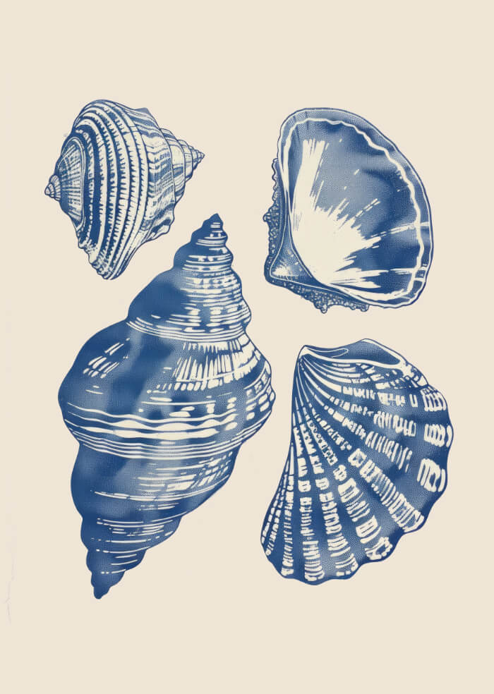 Muscheln