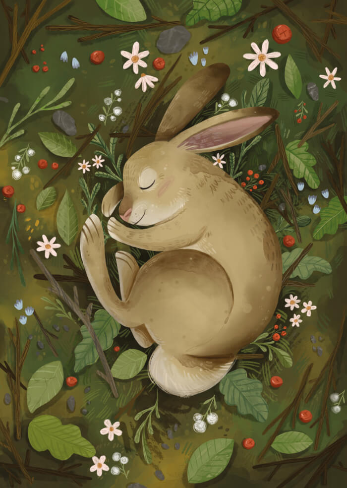 Sleeping bunny
