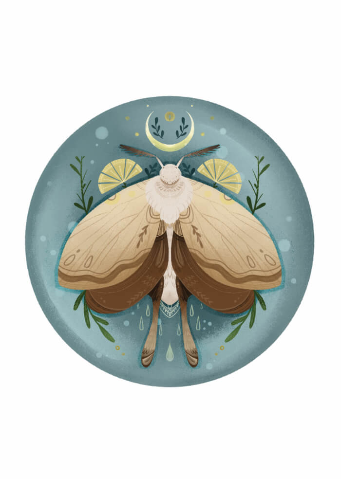 Moth