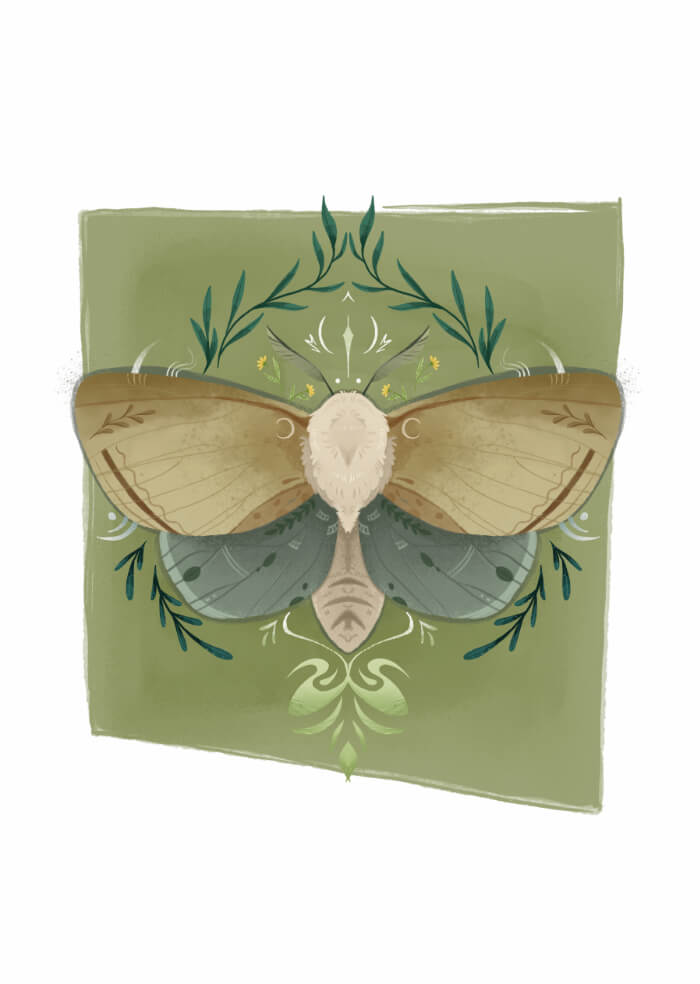 Moth