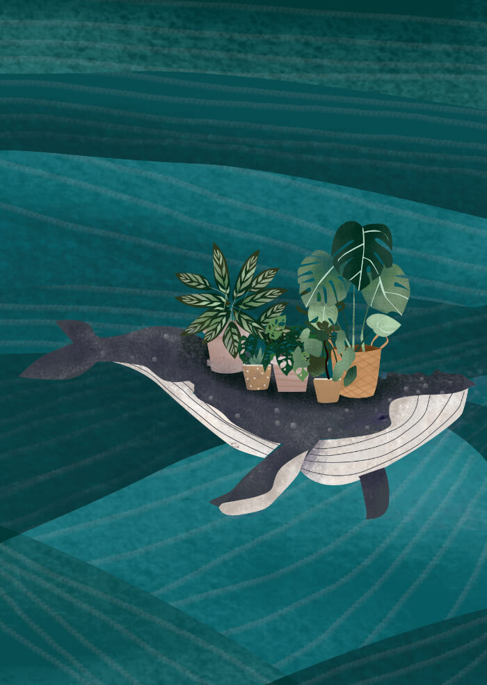 Whale