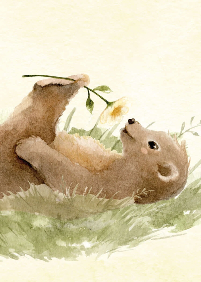 Teddybär
