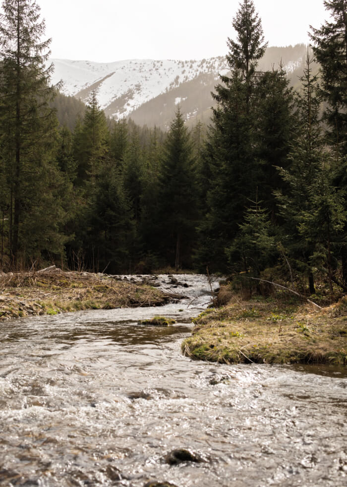 In the mountains