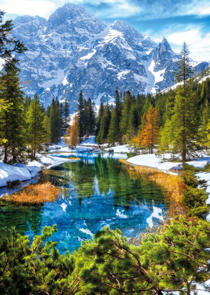 Winter