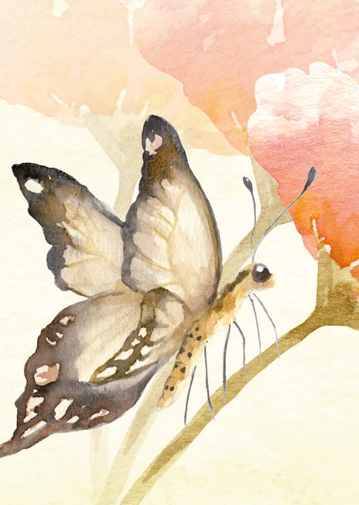 Schmetterling