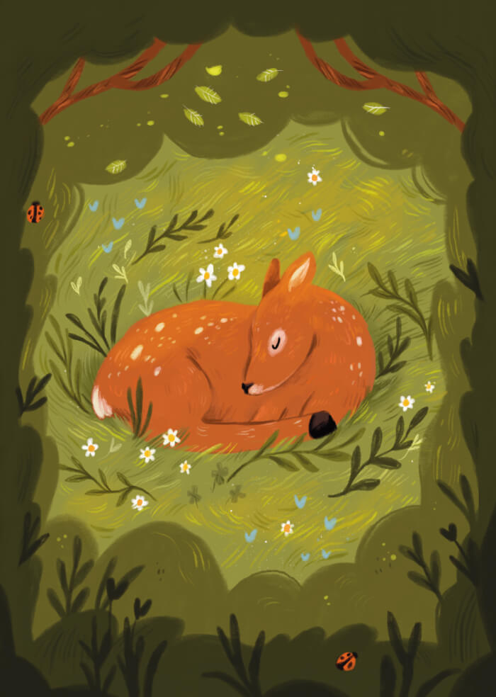 Deer