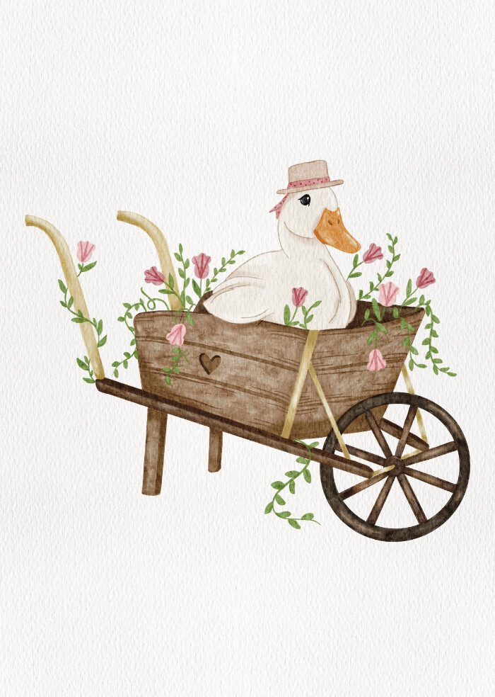 Duck