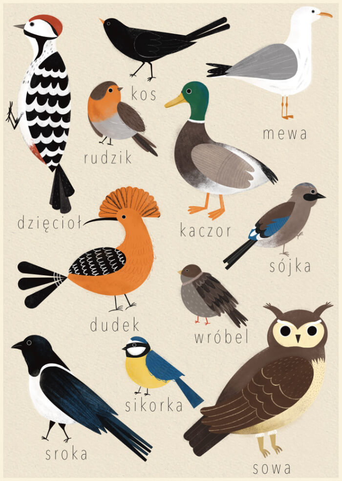 Birds