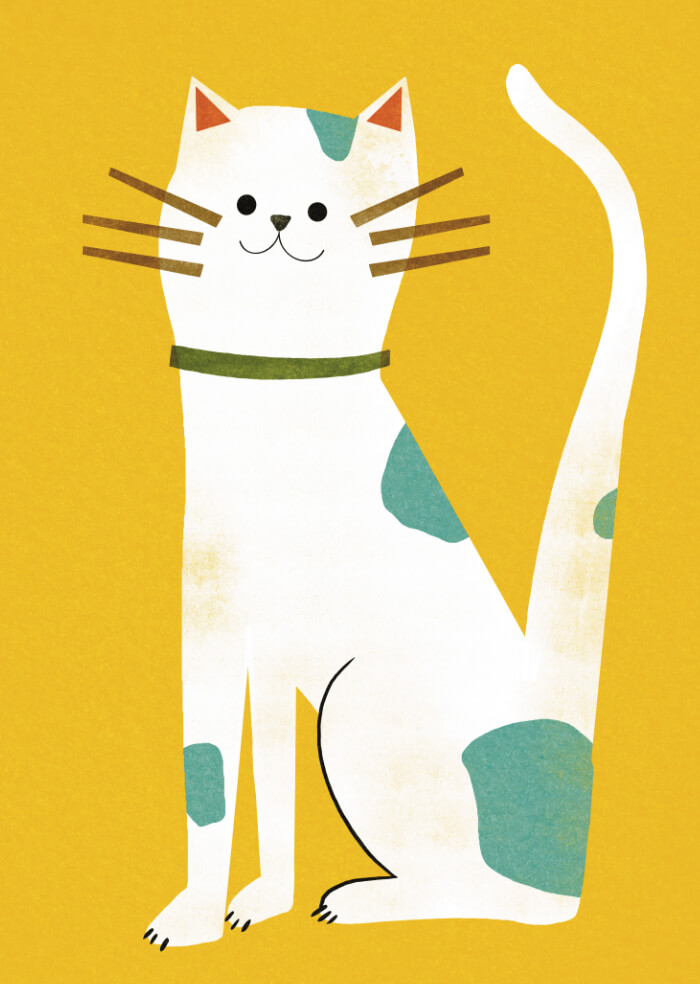 Cool cat