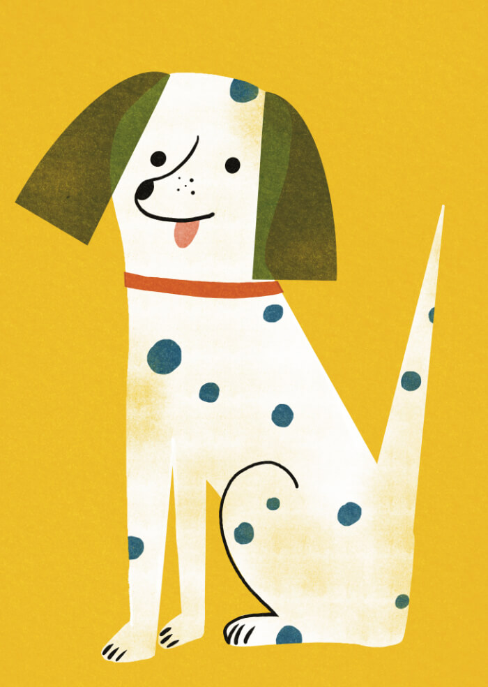 Cool dog