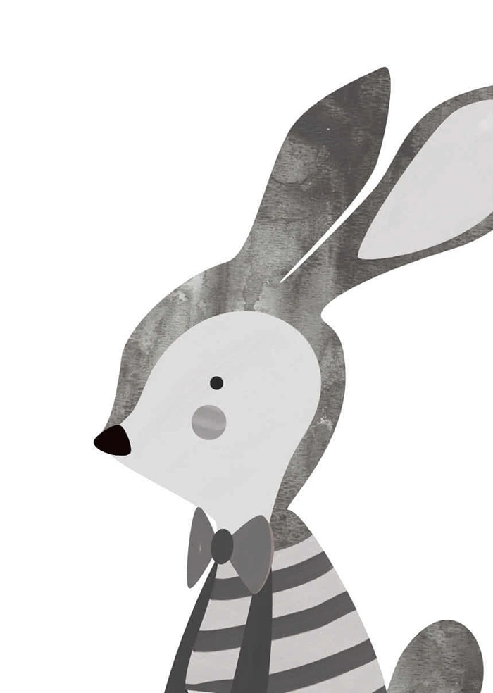 Mr. Rabbit