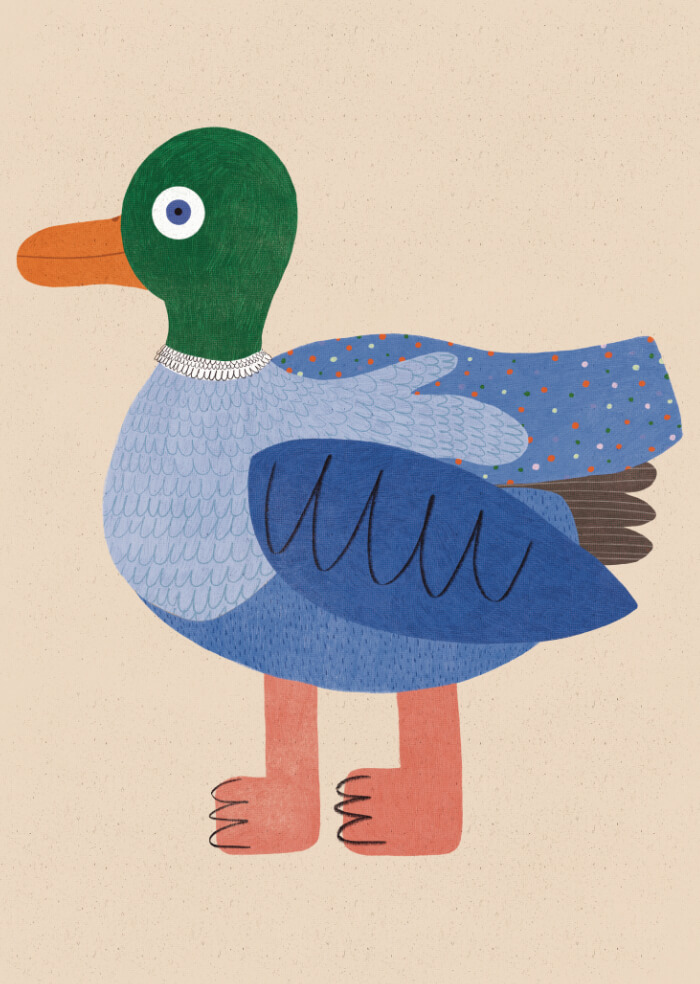 Blue duck