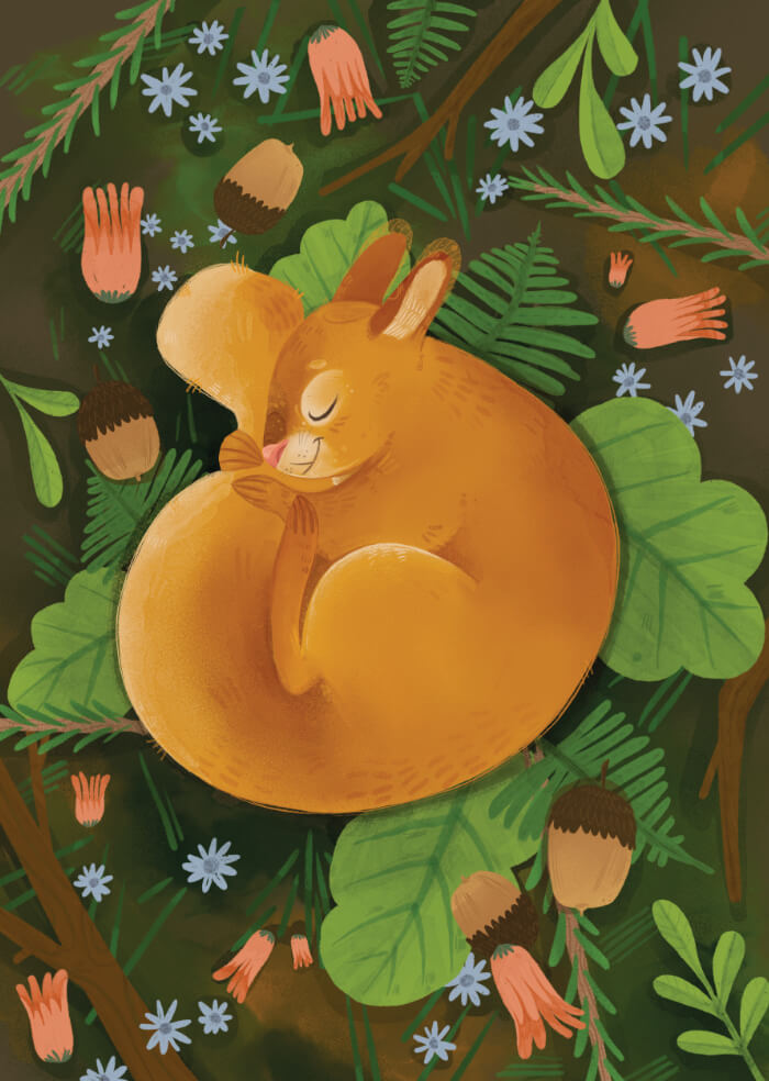 Sleeping squirrel