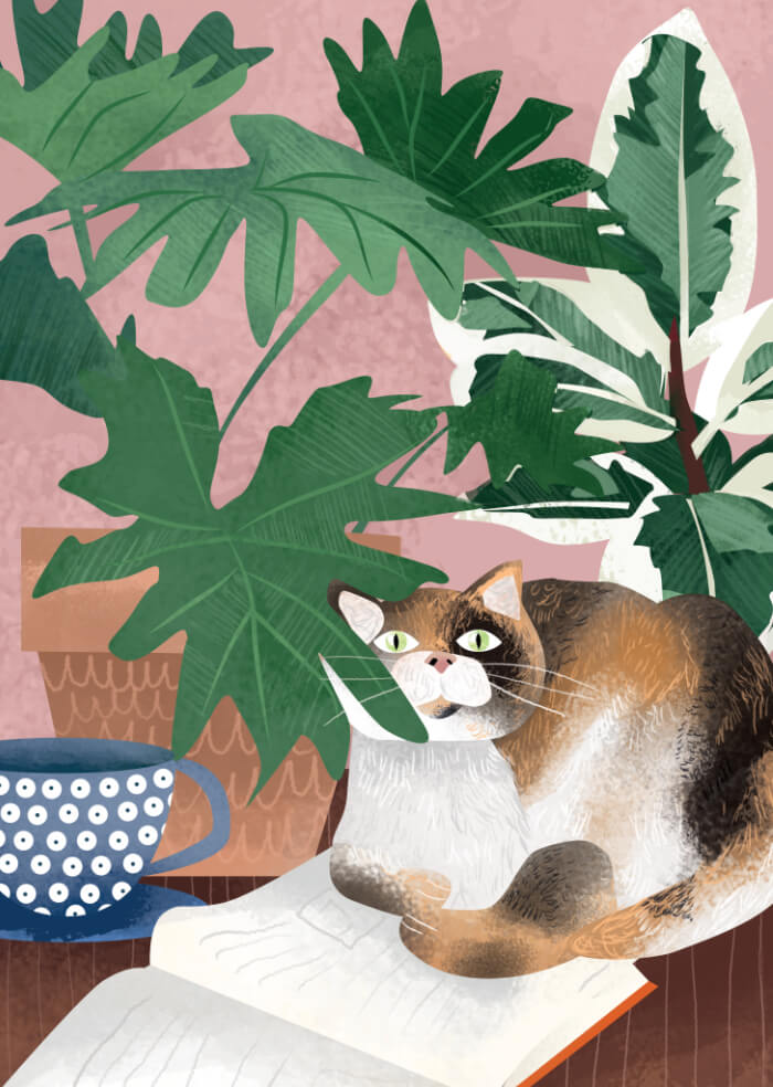 Cat the Reader