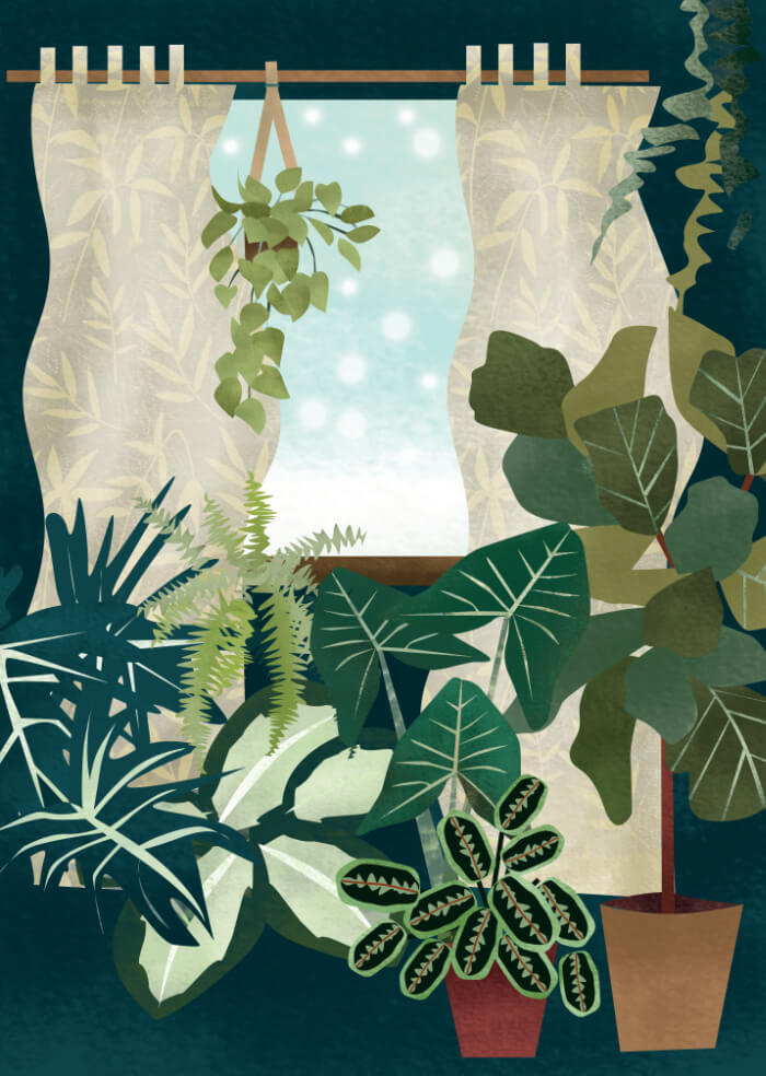 Winter window