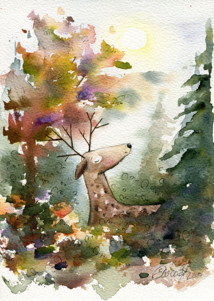 Deer