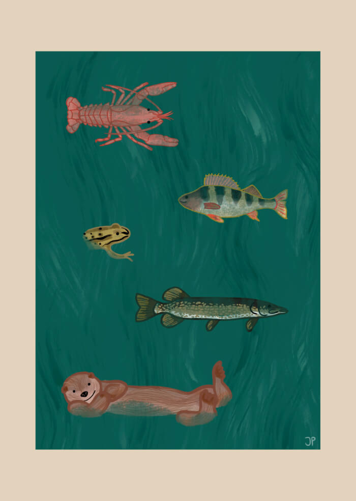 Lake dwellers