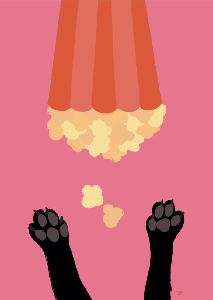 Paws