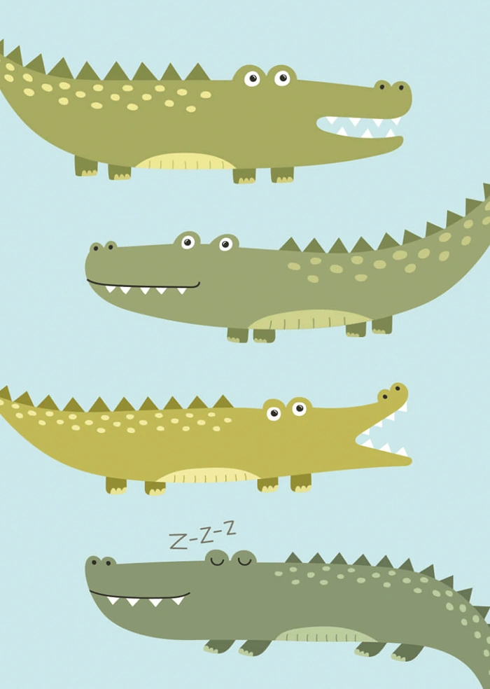 Crocodile