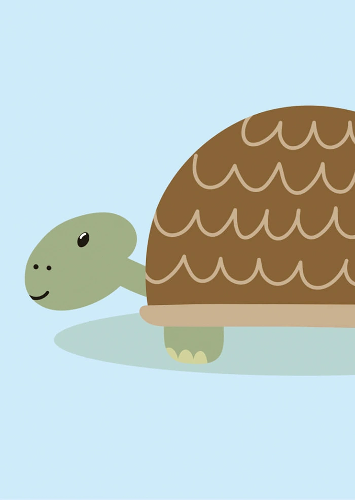 Turtle