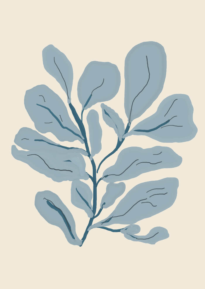 Botanical